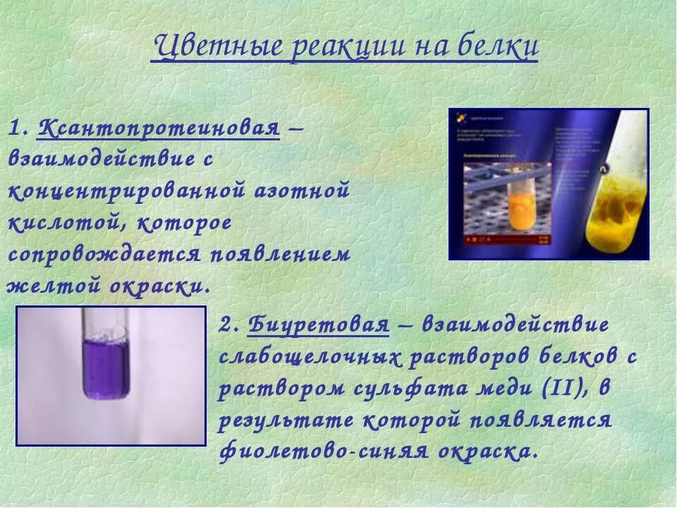 Белки с азотной кислотой. Яичный белок + сульфат меди 2. Качественная реакция на яичный белок. Белок и сульфат меди реакция. Реакция белка с сульфатом меди 2.