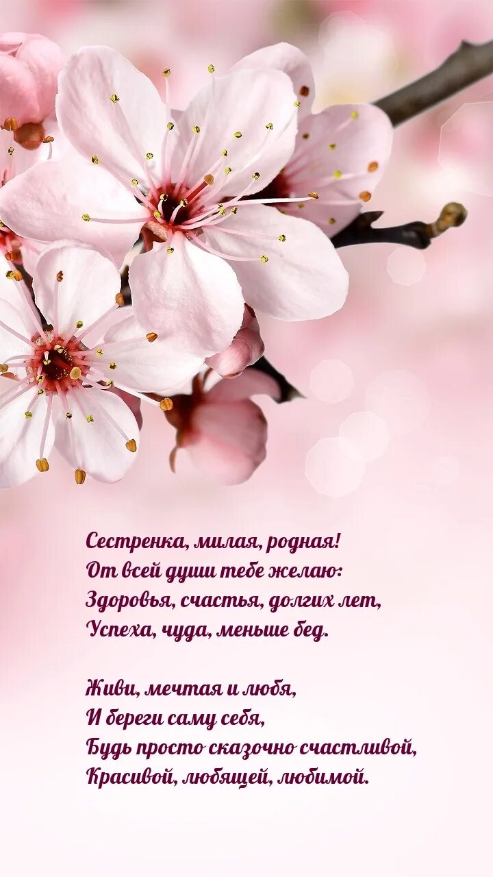Сестренка милая родная. Сестренка милая моя. С днём рождения любимая сестрёнка. Сестрёнка с днем рожденич. Стихи с днём рождения сестре красивые.