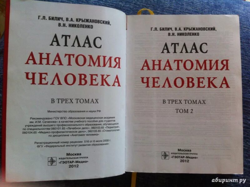 Атлас анатомии человека билич крыжановский 1 том. Атлас анатомии билич крыжановский. билич крыжановский анатомия человека атлас том 2. атлас по анатомии билич 2 том. атлас анатомии человека билич николенко.