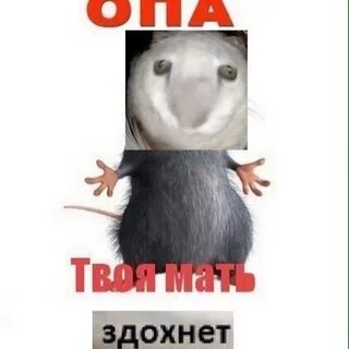 Твоя матушка
