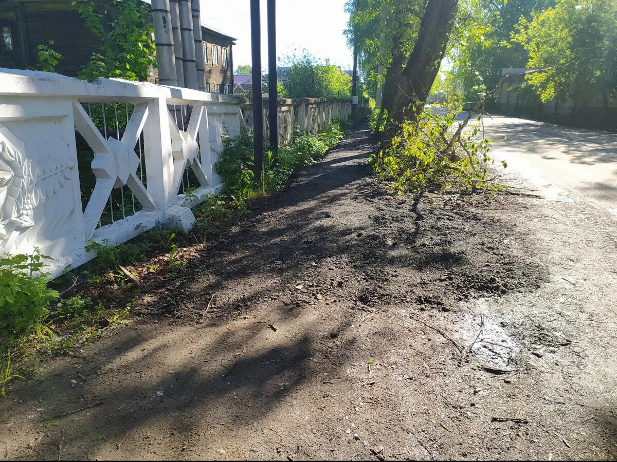 Киров деревянные тротуары. Деревянные тротуары в Яранске. Сломанный тротуар. Деревья разрушающие тротуары. Крошка киров