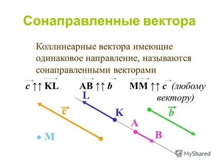Вектор сонаправлен любому вектору это
