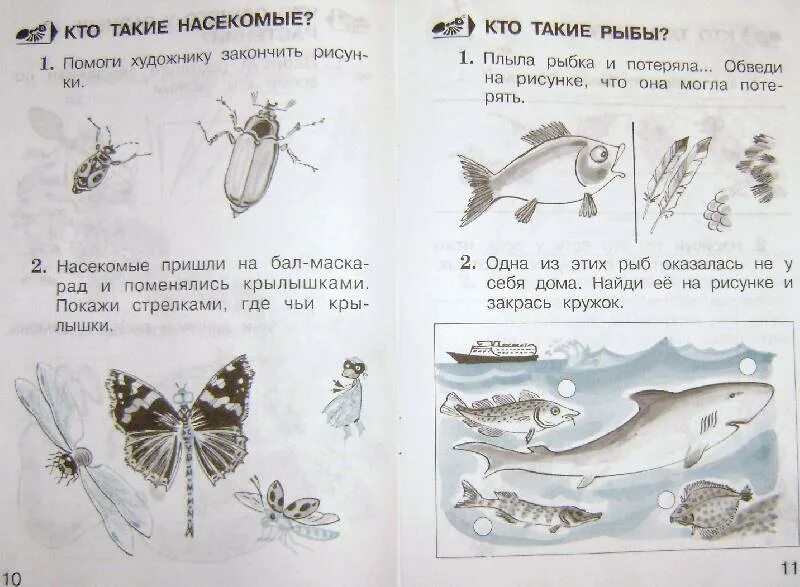 Тест по рыбам 8 класс