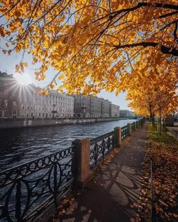 Санкт петербург форум сентябрь
