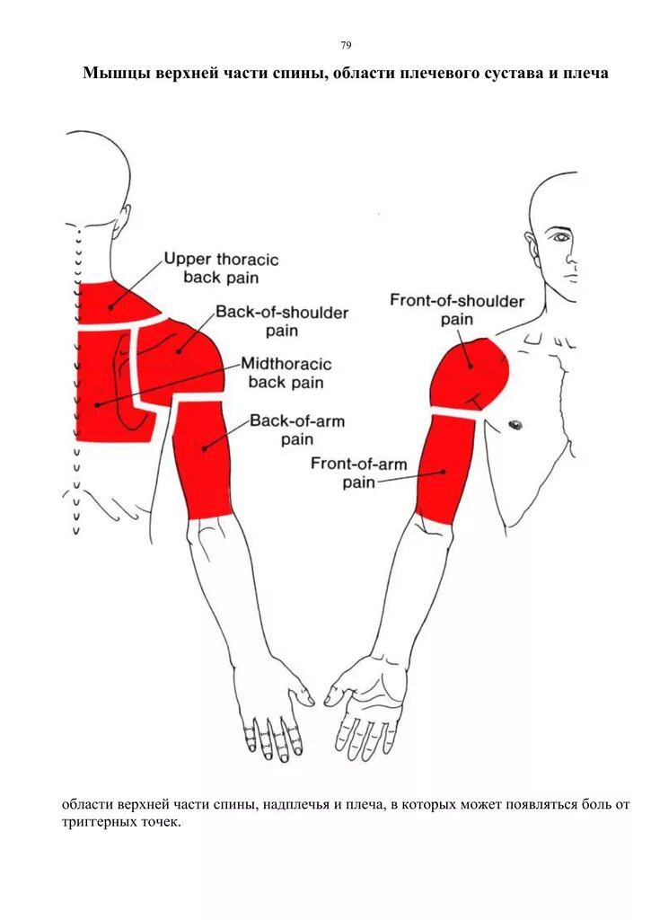 Болит правая рука под лопаткой. Боль в верхней части спины. Болит спина вверху. Болит верхняя часть спины. Боль в правой верхней части спины.