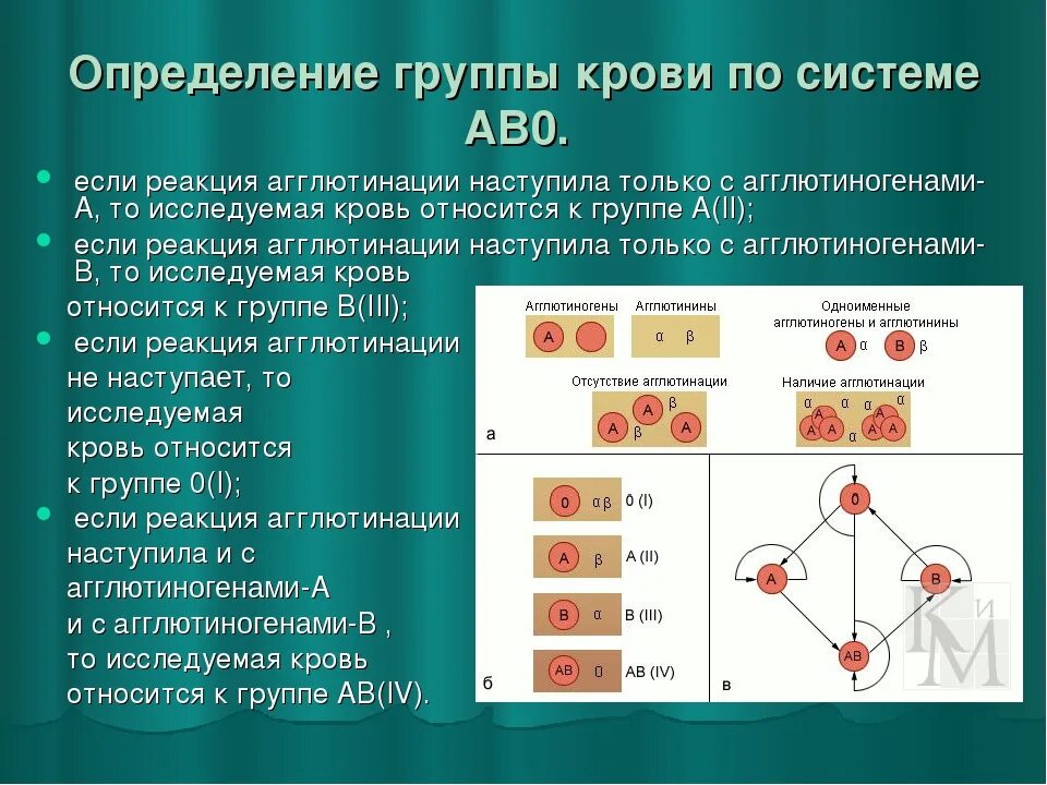 Группа крови л. Наследование групп крови системы ав0. Методики определения групп крови по системе ав0. Реакция агглютинации резус фактор. Как определить 0 группу крови.