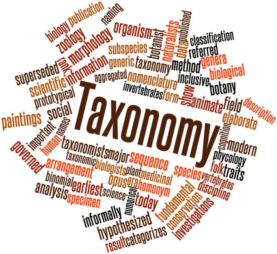 Tech naming'. Hi tech эмблемы. Названия гаджетов на английском. Company name generator. Technology names.