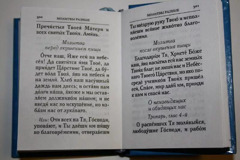 Молитва обиженного человека. Молитвы разные. Молитва о негавидящих и обид. Молебен о ненавидящих и обидящих. Молитва о ненавидящих и обидящих нас.