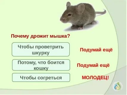 Почему трясется колонка