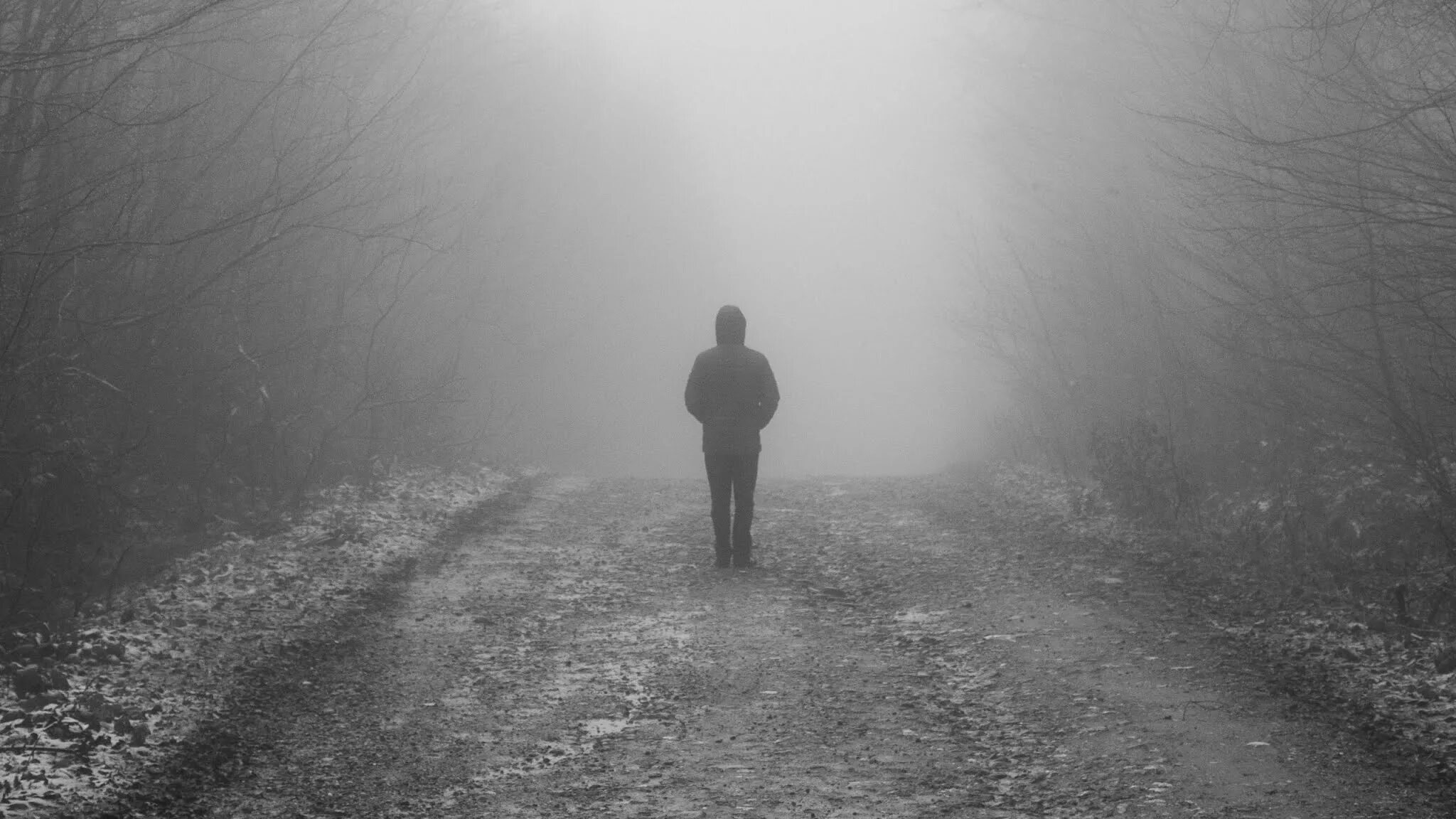 Alone because. Это одиночество. Человек уходящий в туман. Человек в тумане. Одинокий человек.