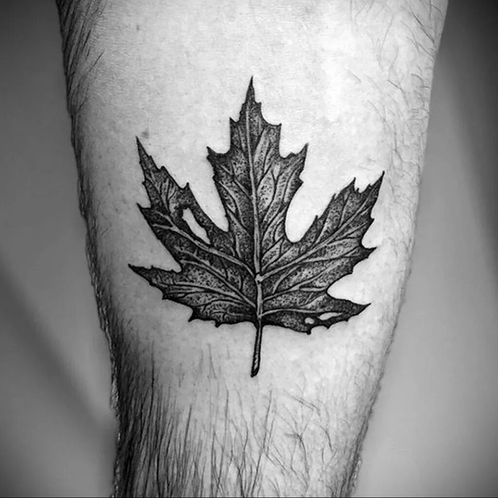 Наколка кленовый лист. Тату листик. Тату листик. Тату ветка с листьями. Тату листик.