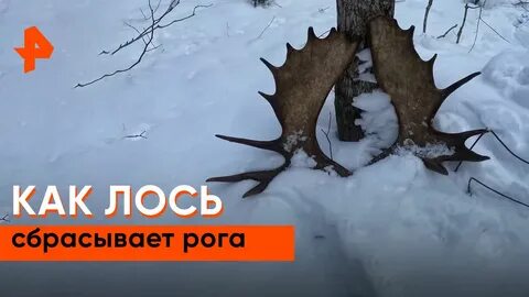 Почему сбрасывает видео