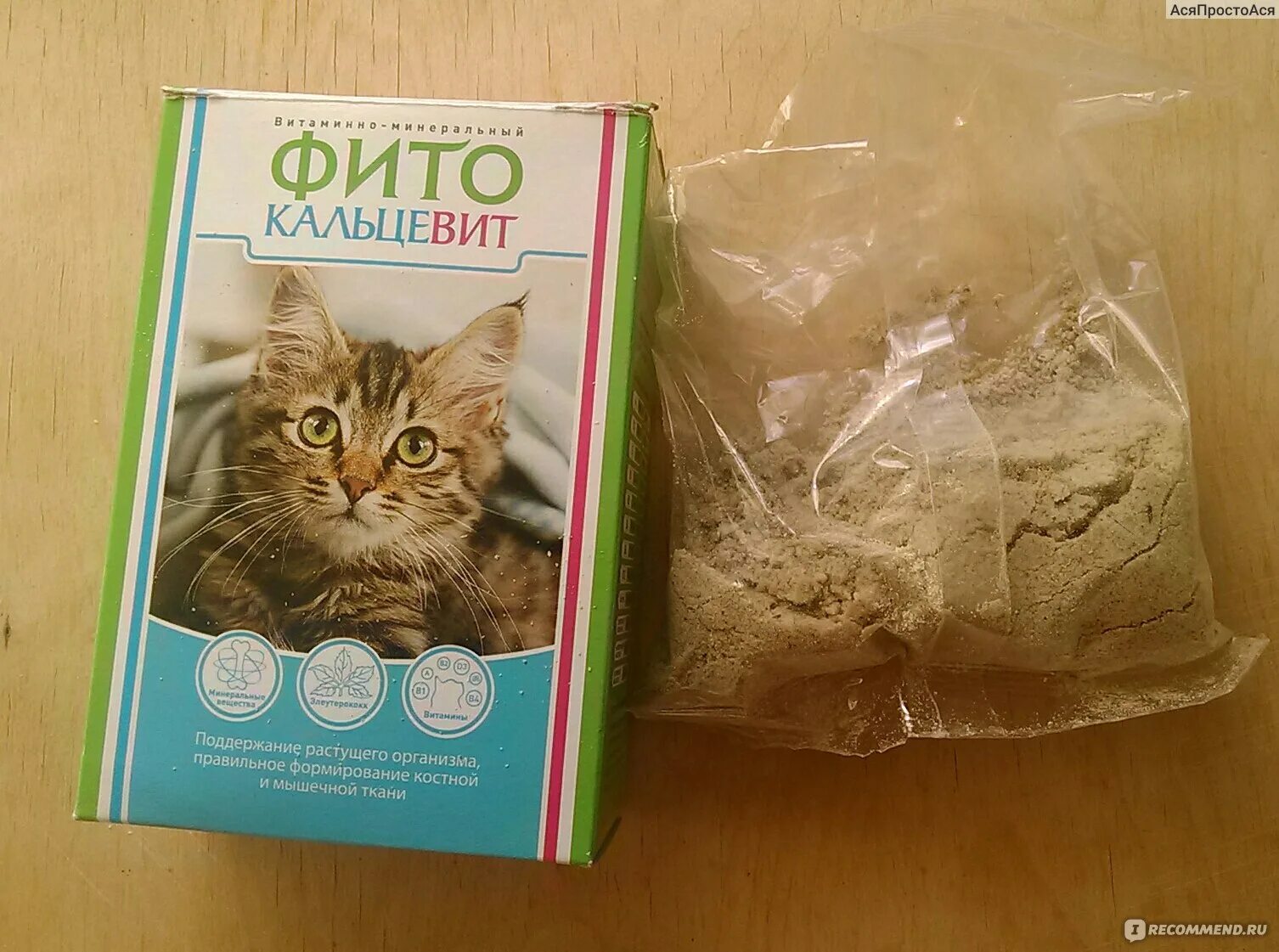 фитокальцевит для кошек. фитокальцевит для котят. фитокальцевит для кошек. фитокальцевит для кошек. подкормка фитокальцевит д/кошек 250г 544487.
