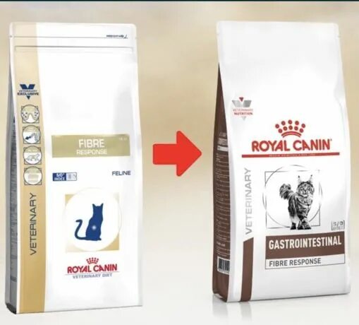 Royal canin gastrointestinal fiber для кошек. Гастроинтестинал Роял Канин для кошек Файбер Респонс. Royal Canin Gastro intestinal Fibre response для кошек. Корм Роял Канин Fibre для кошек. Роял Канин для котов Fibre response.