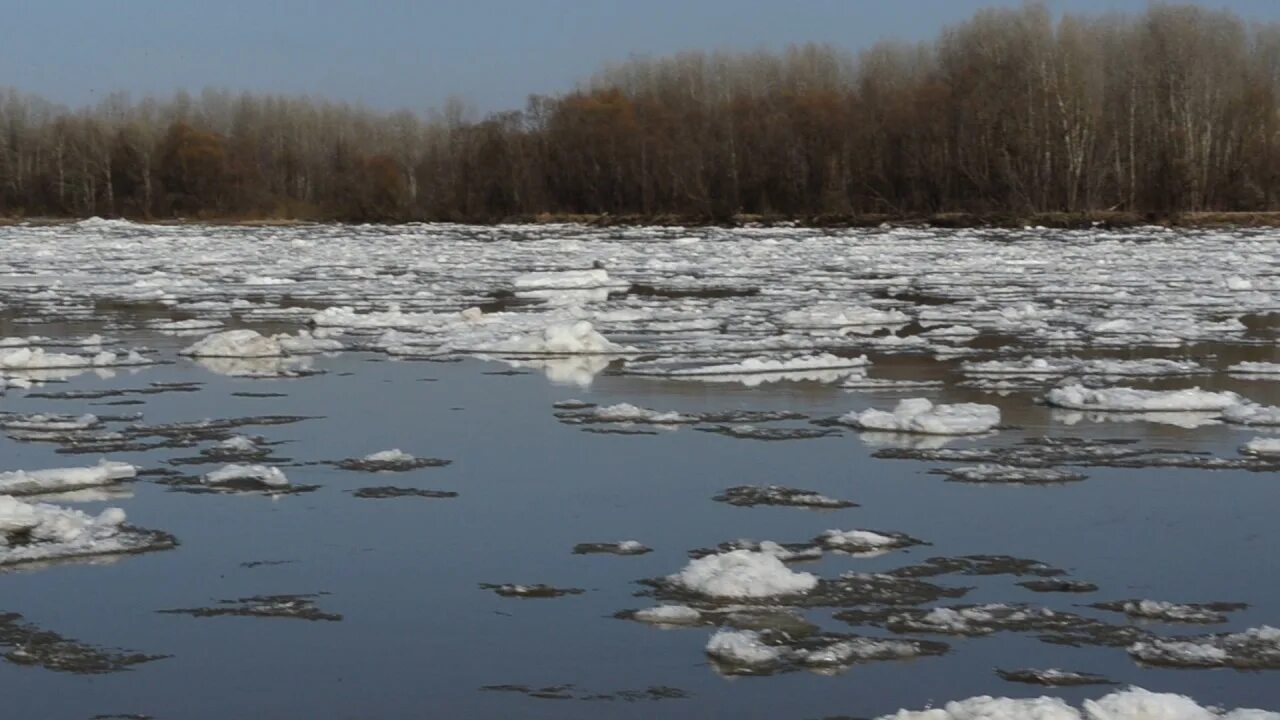 Ледоход приложение. Бийск ледоход. весенний ледоход на реке. ледоход картина.