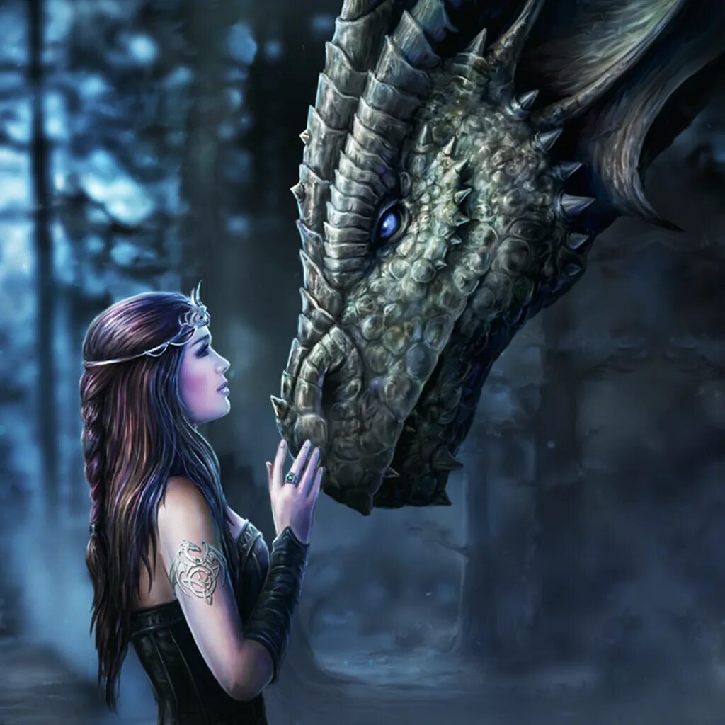 Женщина дракон подходит. Anne Stokes Dragon. Девушка и дракон. Девочка и дракон. Принцесса и дракон.