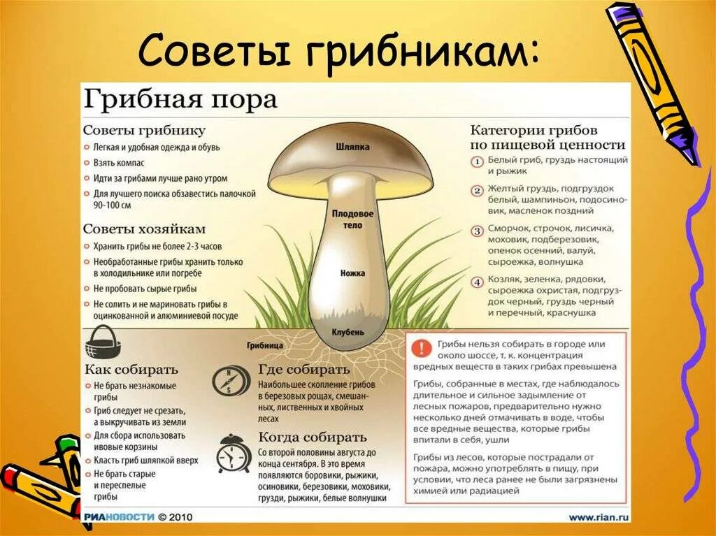 Памятка как собирать грибы
