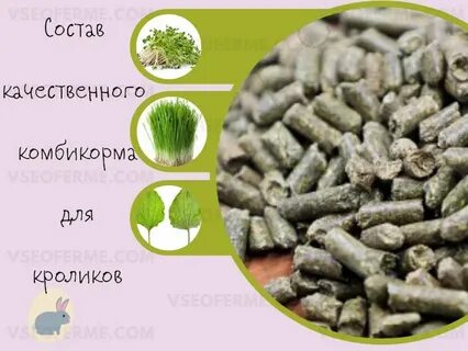 Можно кроликам давать комбикорм