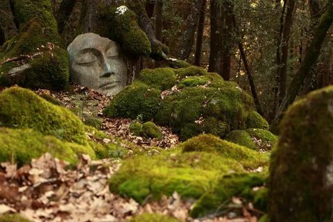 Тишину спящего леса