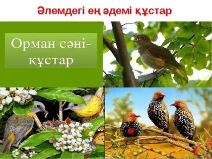 BBW лесбиянка порно онлайн қараңыз