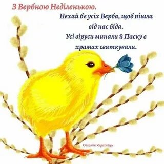 Вербное воскресенье смешные картинки