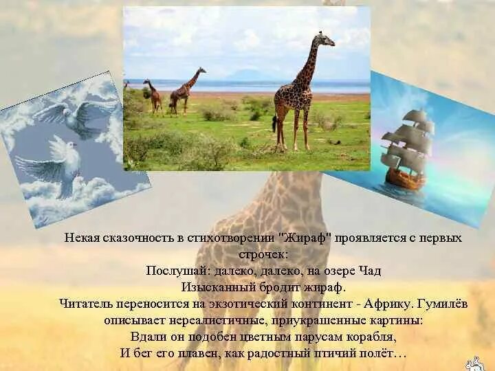 стихотворение про жирафа. жираф гумилёв стихотворение. почему гумилев наделяет жирафа эпитетом. стих николая гумилева жираф. жирафик стихотворение.