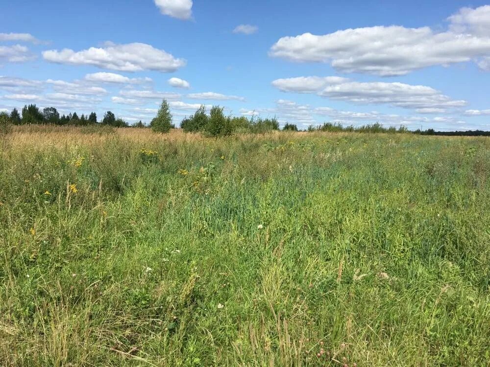 Марьевка тамбовская область. Поселок дмитриевка. Марьевка тамбовская область. Марьевка тамбовская область. Марьевка тамбовская область.
