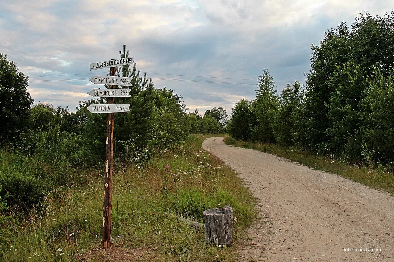 В сорожино харовского. Деревня сорожино в 1994. Деревня логиновская. В сорожино харовского. В сорожино харовского.