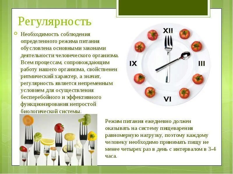 Сколько времени выделяется на прием пищи