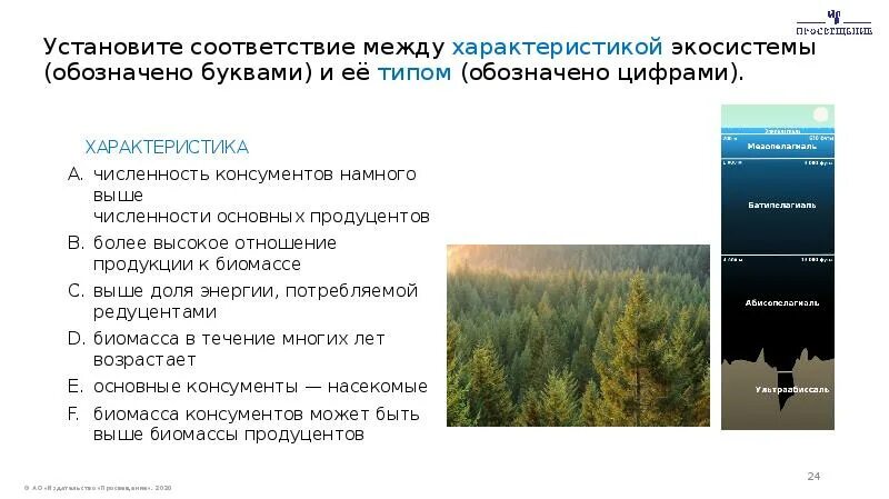 Характеристика экосистемы поле. Установите соответствие между характеристиками и экосистемами. Установите соответствие между экосистемой и ее характеристики. Установите соответствие между характеристиками и типами экосистем. Экосистема обозначение.