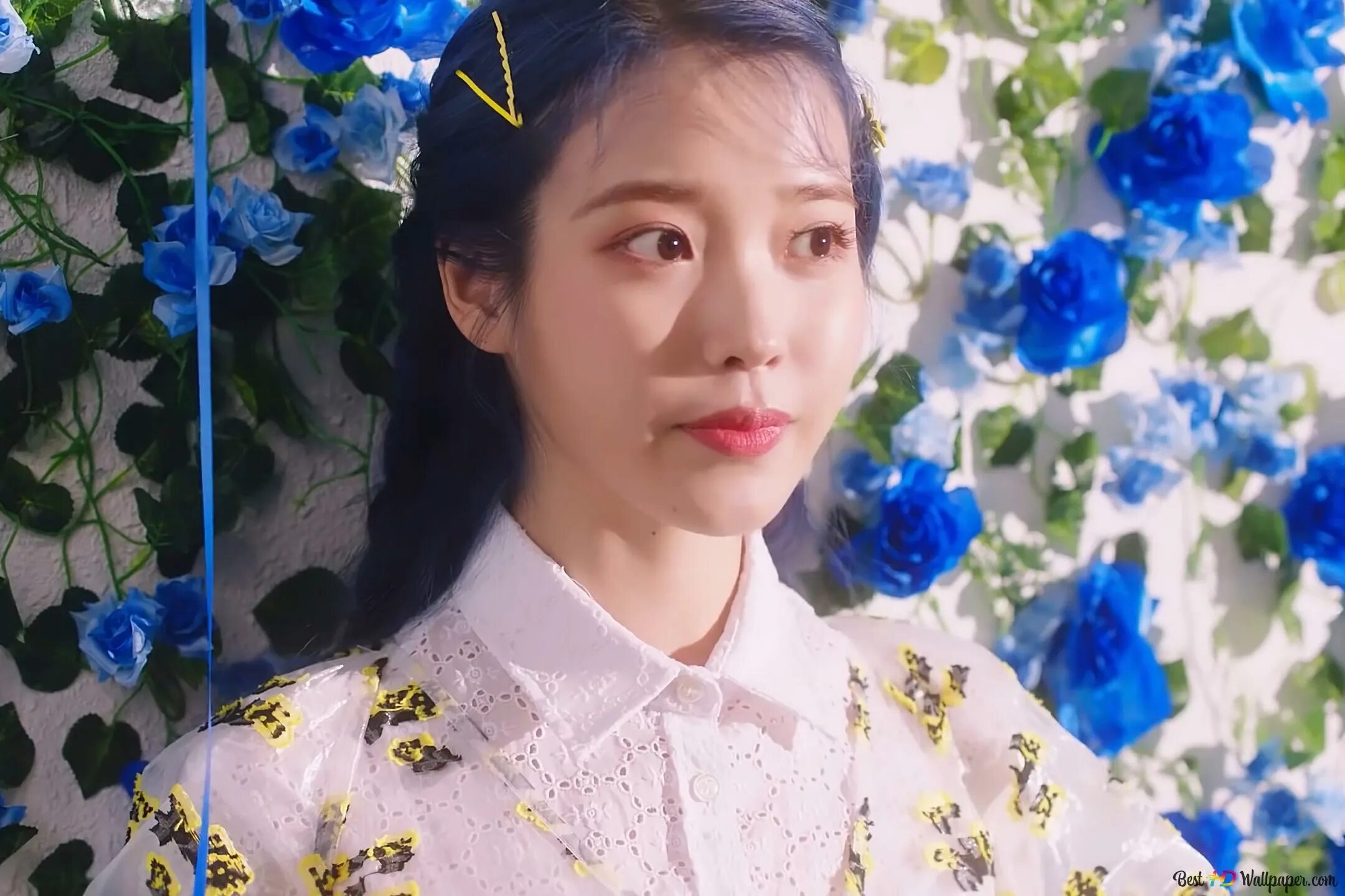 Песня ай ю. Hold me hand iu. Песня ай ю. Iu певица 2022. Айю iu.