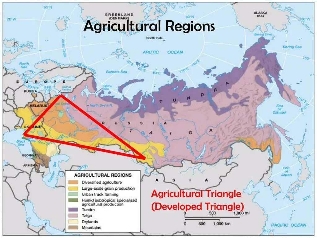 Total area of the russian federation. Агрокультуры России карта. Regions of Russia. Agricultural areas Map. Total area of Russia.