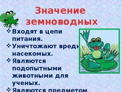 Значение амфибий