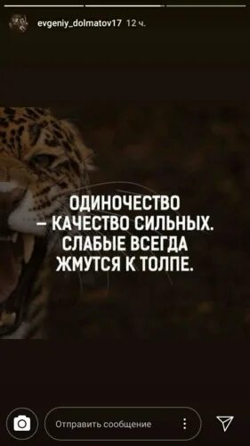 Слабые всегда жмутся. Слабые всегда жмутся. Сильные цитаты. Одиночество качество сильных слабые всегда жмутся к толпе картинка. Одиночество качество сильных.