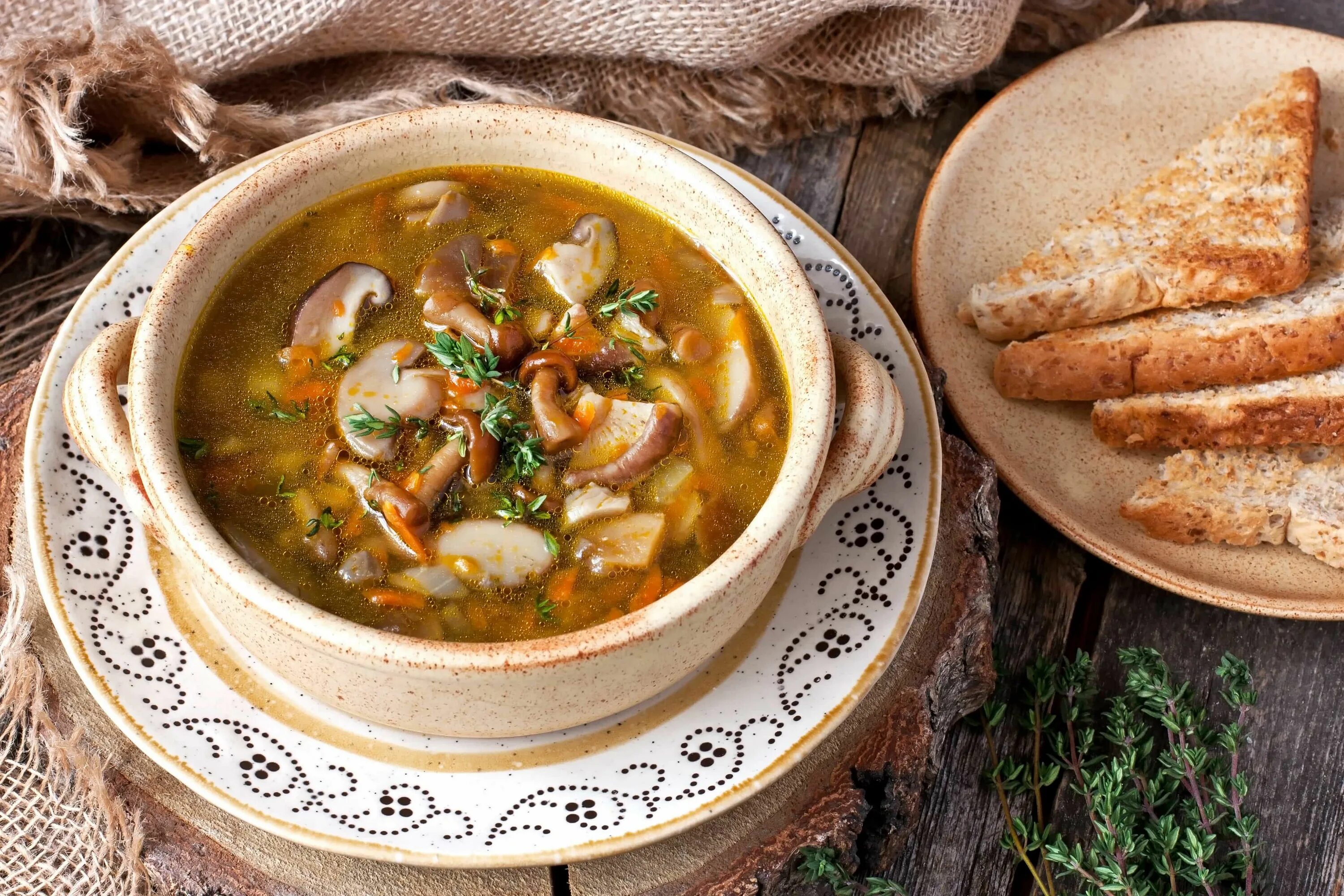 Первые блюда в пост рецепты. Грибной суп наваристый. Зуппа ди Фунги. Грибной суп «по-ленинградски». Первые блюда с грибами.
