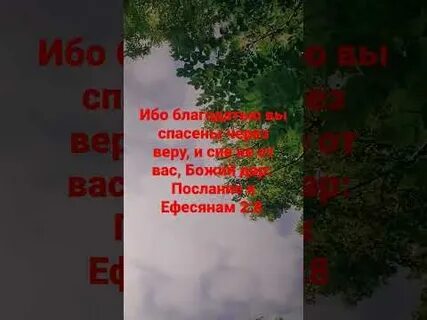 8 ибо