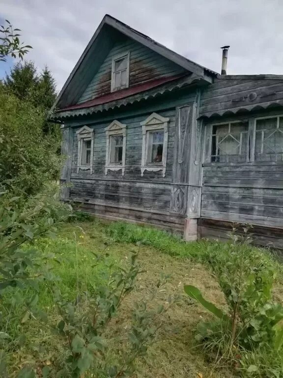 Деревня сараева. Деревня сараево ярославская область.