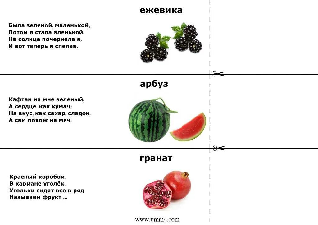 Загадки и снизу отгадки. Загадки для 3 класса с ответами очень сложные. Детские загадки с ответами 3 класс. Загадки для детей легкие с ответами.