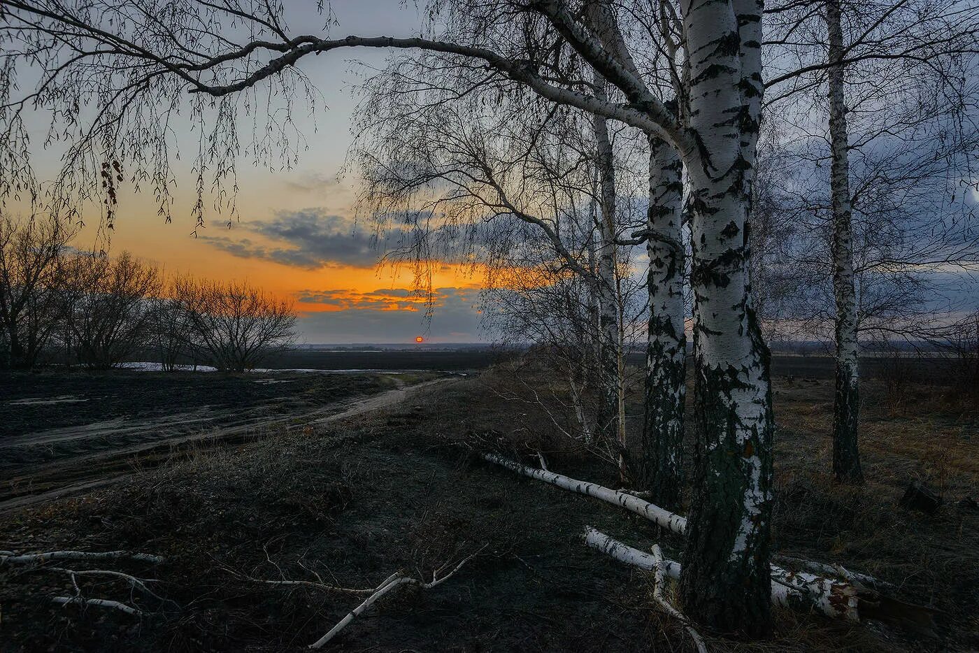 Пейзаж. Апрельский пейзаж. Апрельская ночь картинки красивые