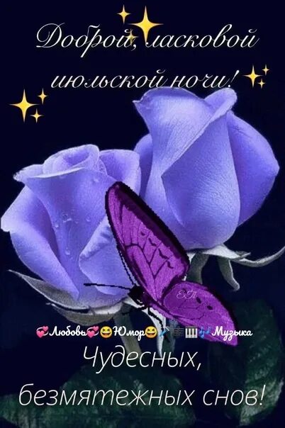 Доброй июльской ночи картинки. Доброй ночи полевые цветы. Июльской ночи картинки с надписями. Открытки красивой июльской ночи. Цветы с пожеланием спокойной ночи.