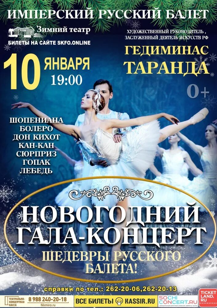 Русский балет афиша. Лебединое озеро классический русский балет бутримович. Афиша балетного спектакля. Московский классический балет лебединое озеро. Русский балет афиша.