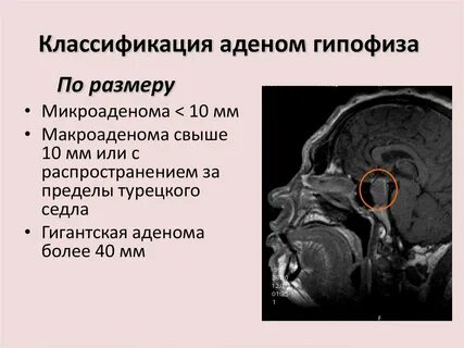 Транссексуалдар туралы көркем фильмдер