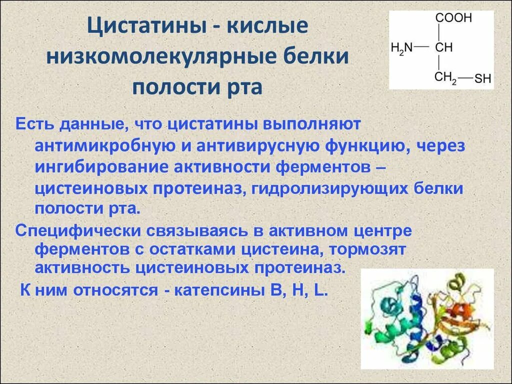 Кислотные белки