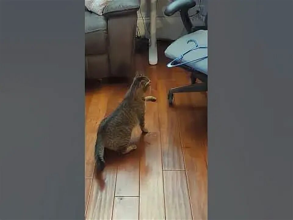 Такого он явно не ожидал