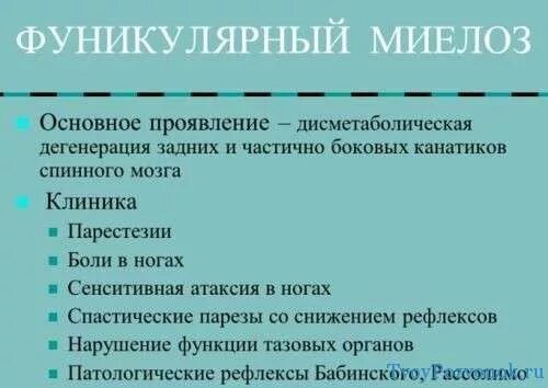 Фуникулярный миелоз при в12 дефицитной анемии. Фуникулярный миелоз. проявления фуникулярного миелоза. фуникулярный миелоз симптомы.