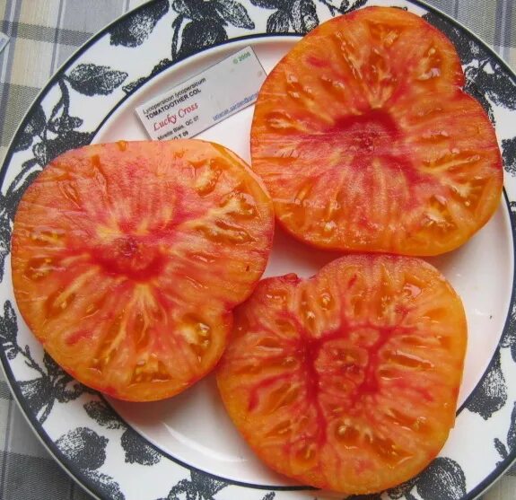 Томат дедушкин грейпфрут. Томат дедушкин грейпфрут. Pink grapefruit томат. Помидор сорт грейпфрут. Томат в кроссах.