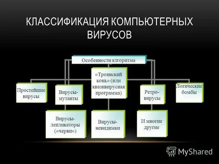 Найдите отличительные особенности компьютерного вируса