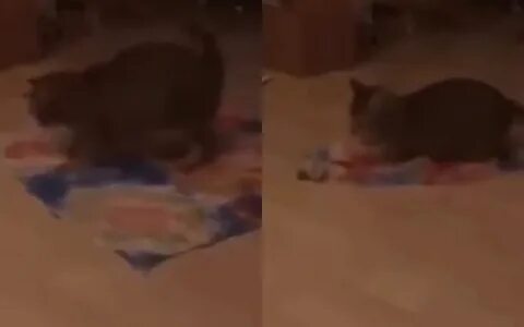 Плохо лежало