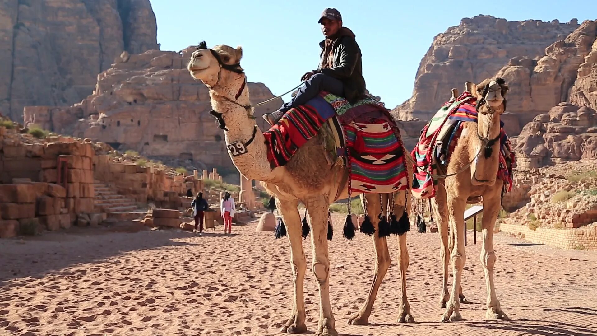 Петра Иордания бедуины шатер. Бедуин картина. Jordanian Camel. Бедуин Эстетика для ноутбука. Караван сити