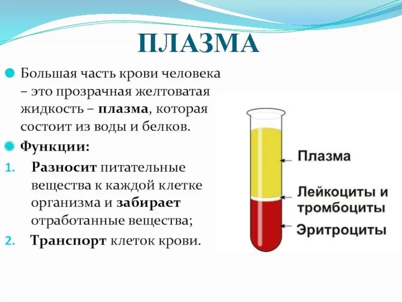 Форма плазмы крови